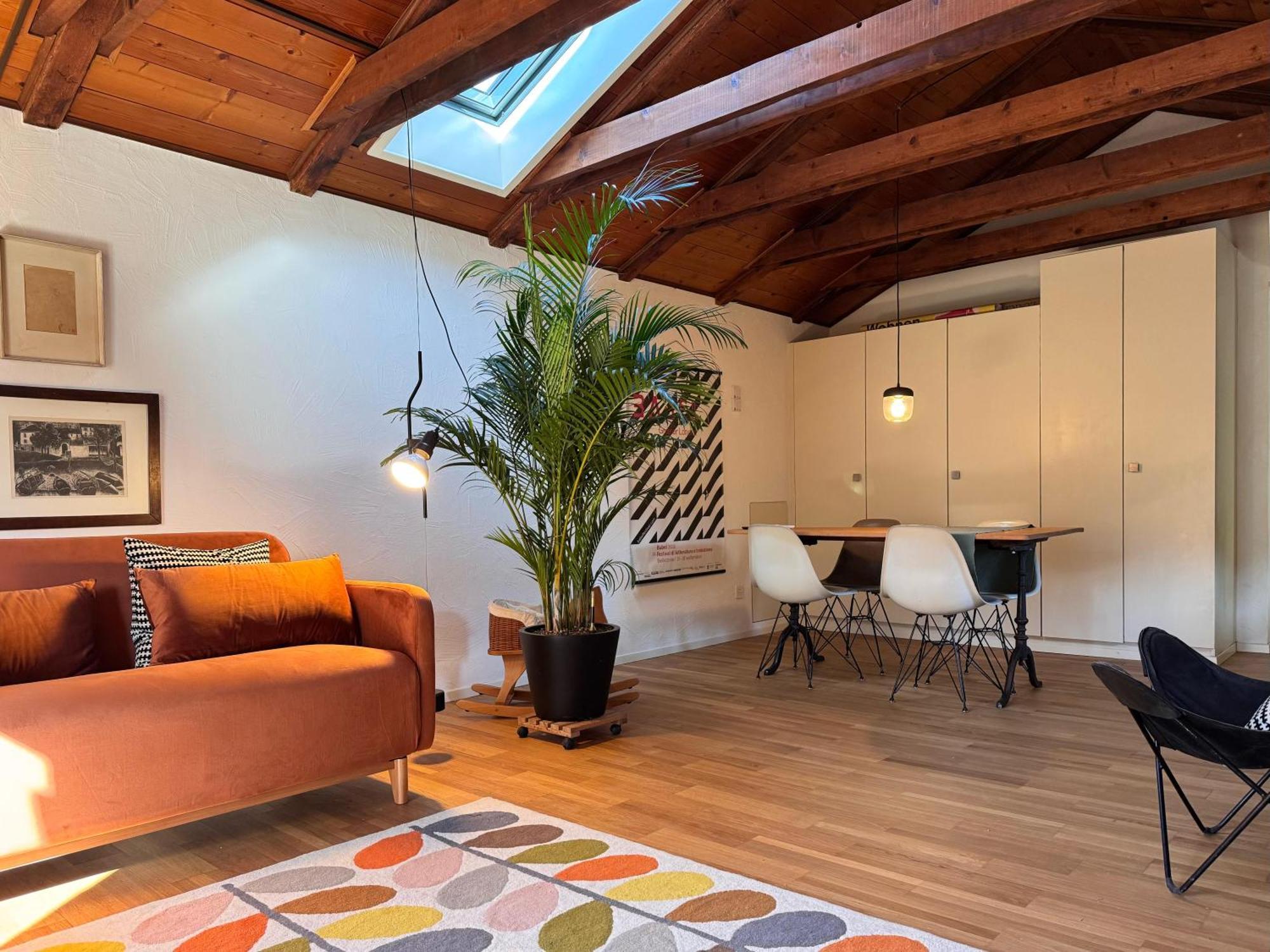 Cozy In The Apartment Locarno